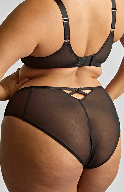 Ella High Leg Brief
