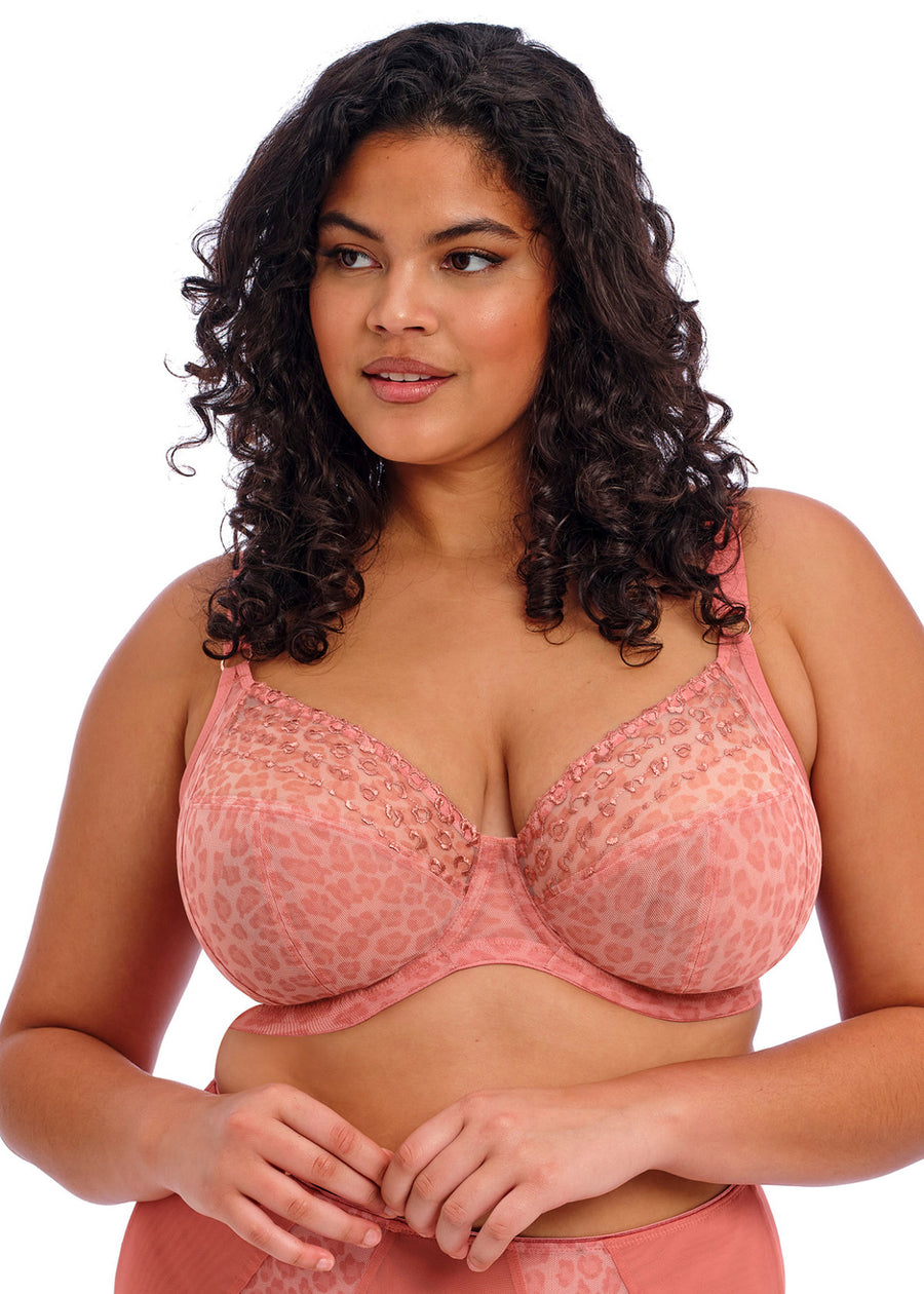 ELOMI MATILDA PLUNGE BRA