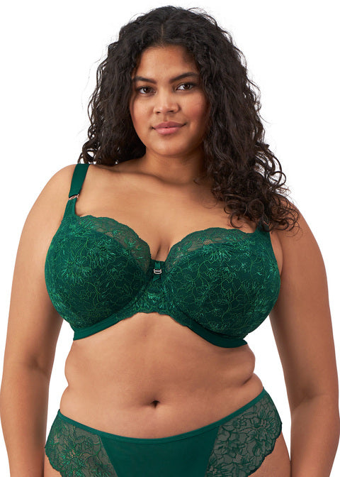 Elomi Brianna Padded Half Cup Bra