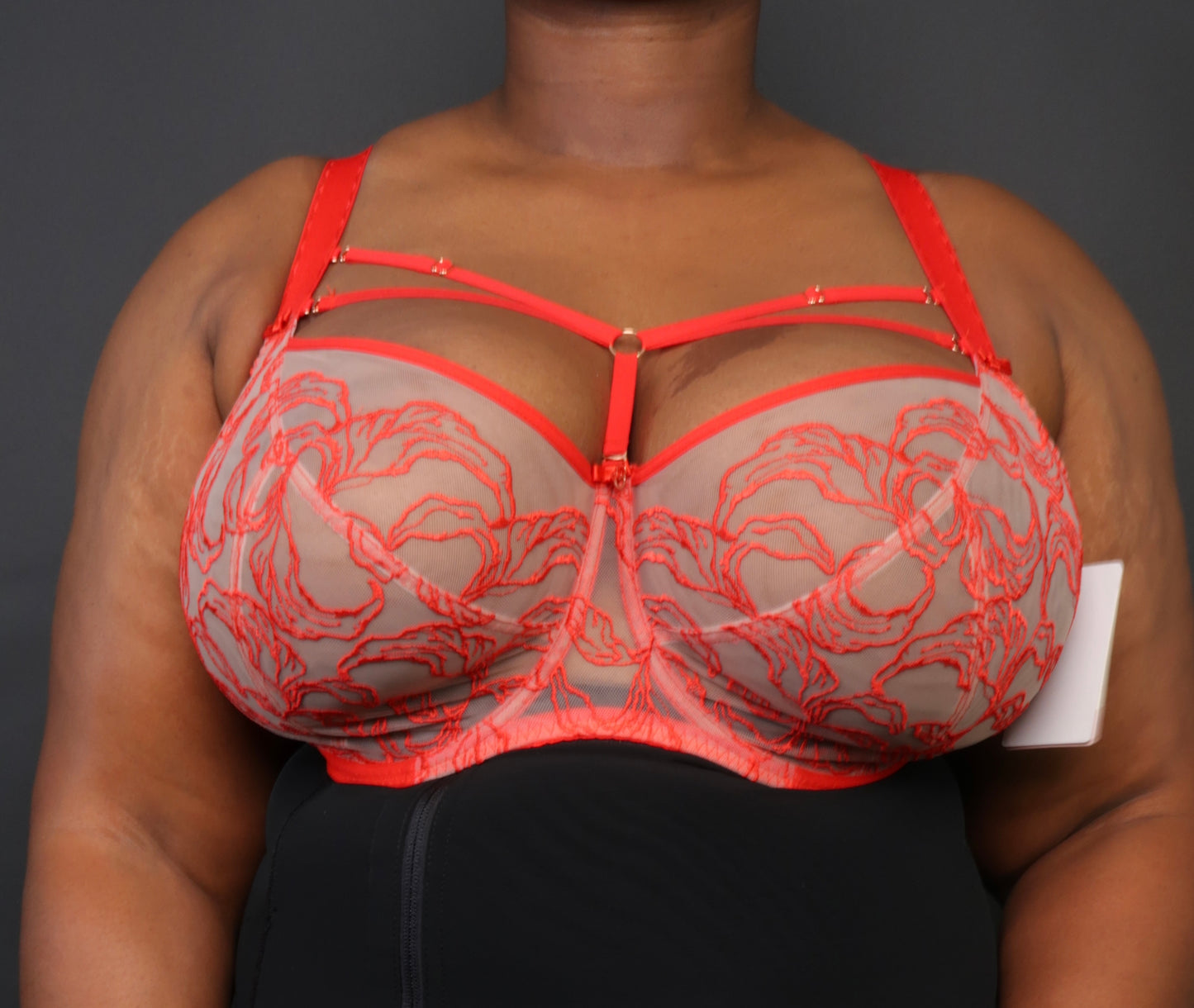 GORSENIA DEBBY BRA DETACHABLE HARNESS