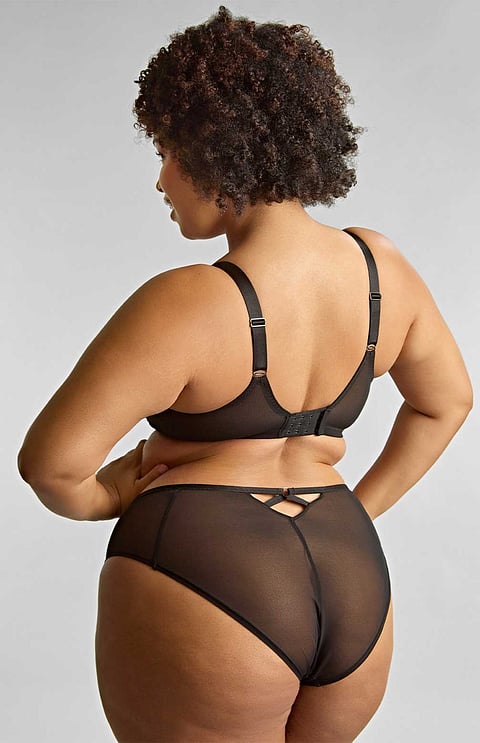 Ella High Leg Brief