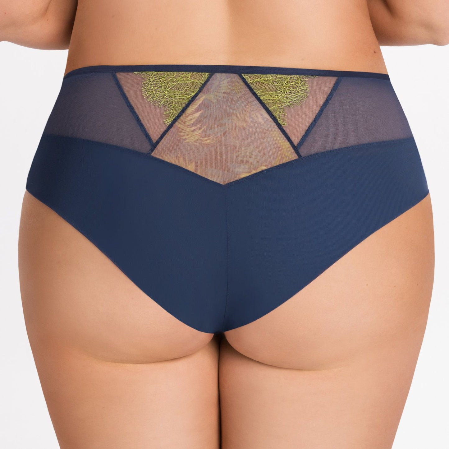 Gorsenia Arianna Brief